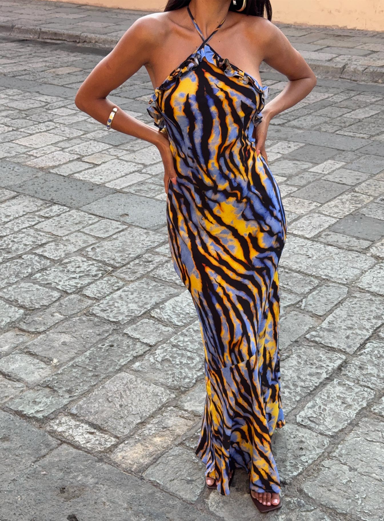 Virginia Beach Backless Maxi Dress Blue Zebra - Image 8